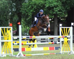 broodmare Czerafina (Hanoverian, 2008, from Contendro I)