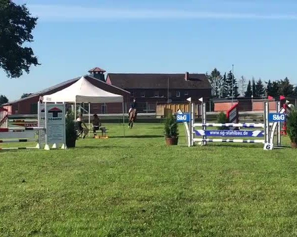 Video of Meine Alexa