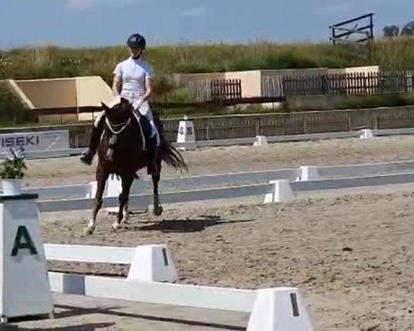 Video of Floresty 3