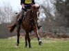 jumper Grace Glenwood (Hanoverian, 2004, from Graf Top II)