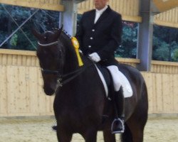 dressage horse Deusenberg (Westphalian, 2000, from Di Versace)