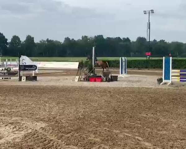 Video of Donnerschall