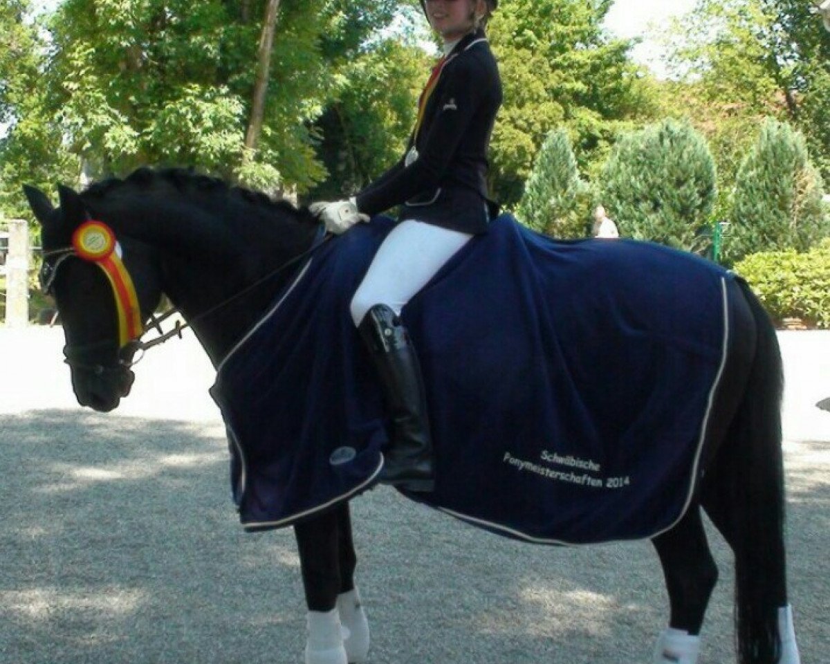 Dressurpferd Orinoco Flow (Deutsches Reitpony, 2003, von Oweron)