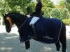 dressage horse Orinoco Flow (German Riding Pony, 2003, from Oweron)