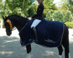 dressage horse Orinoco Flow (German Riding Pony, 2003, from Oweron)