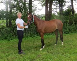 Zuchtstute Carima-Chanel RH (Deutsches Reitpony, 2011, von FS Champion de Luxe)