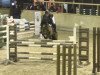 jumper Nordkap 3 (German Riding Pony, 2008, from Nagano)