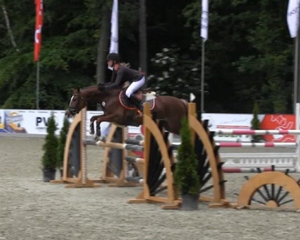 broodmare Rosanna (German Riding Pony, 2008, from Tizian)