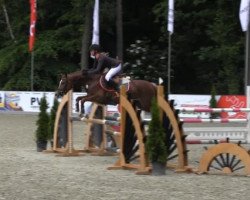 Zuchtstute Rosanna (Deutsches Reitpony, 2008, von Tizian)