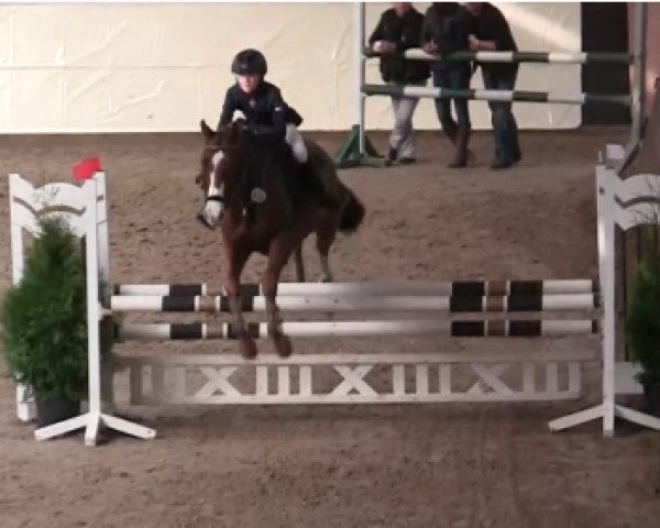 jumper Fly Sky TF (German Riding Pony, 2008, from For Kids Only)