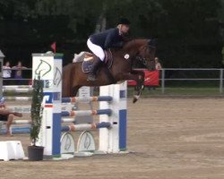 jumper Crokant T (German Riding Pony, 2008, from Crocodile Rock)