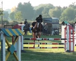 jumper Pauline 409 (German Riding Pony, 2009, from Paul SG)