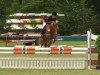 jumper Ontario 111 (German Riding Pony, 2009, from Feldhof's Orbit)