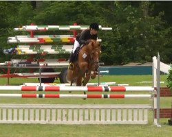 jumper Ontario 111 (German Riding Pony, 2009, from Feldhof's Orbit)