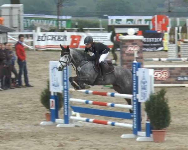 jumper Donald Rex 14 (German Riding Pony, 2009, from Don Carlos 185)