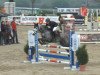 jumper Donald Rex 14 (German Riding Pony, 2009, from Don Carlos 185)