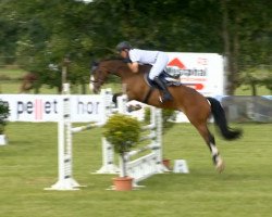 jumper Urmel 123 (Hanoverian, 2009, from Uccello)