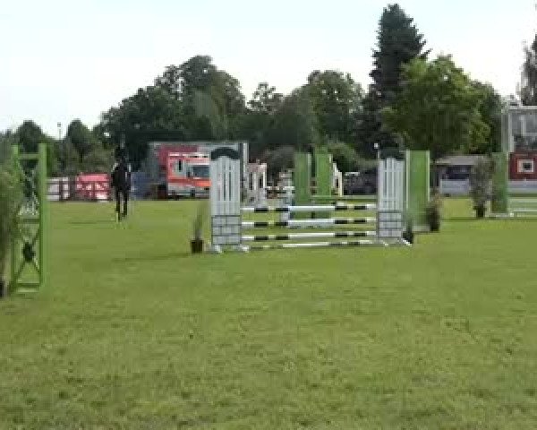 Reitturnier Wilkenburg 2020
