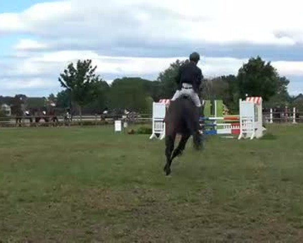 Reitturnier Wilkenburg 2020