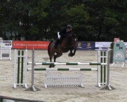 Springpferd C'est Diva H (Westfale, 2009, von Comme il Faut)