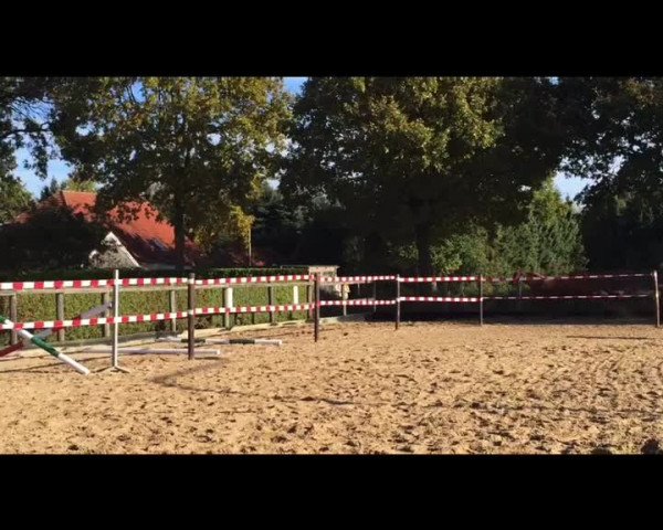 Video of Venicia H
