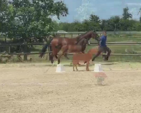 Video of Edward RV