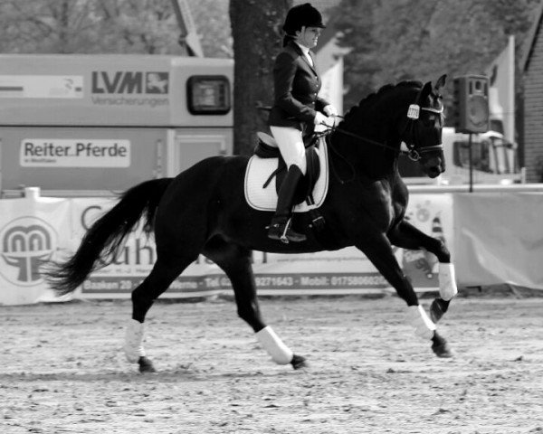 dressage horse Ruby Tuesday 79 (Westphalian, 2009, from Rubin Royal OLD)