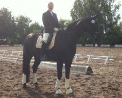 dressage horse Carembeu (Hanoverian, 1998, from Cheenook)