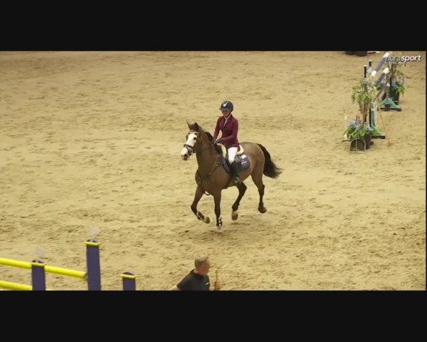 Video of Rockchester