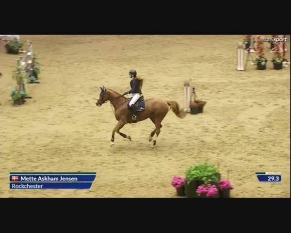 Video of Rockchester