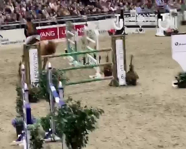 Video of Rockchester