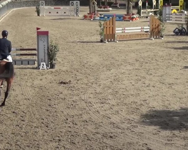 Reitturnier Wipperfürth-Kreuzberg 2020