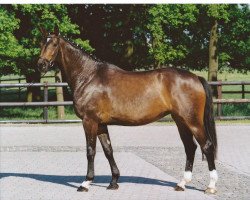 broodmare Marilu (Westphalian, 1997, from Mon Chèri)