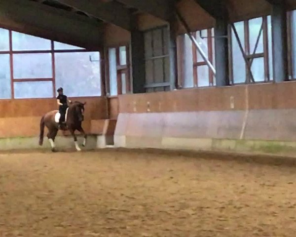 Video of Sir William 60