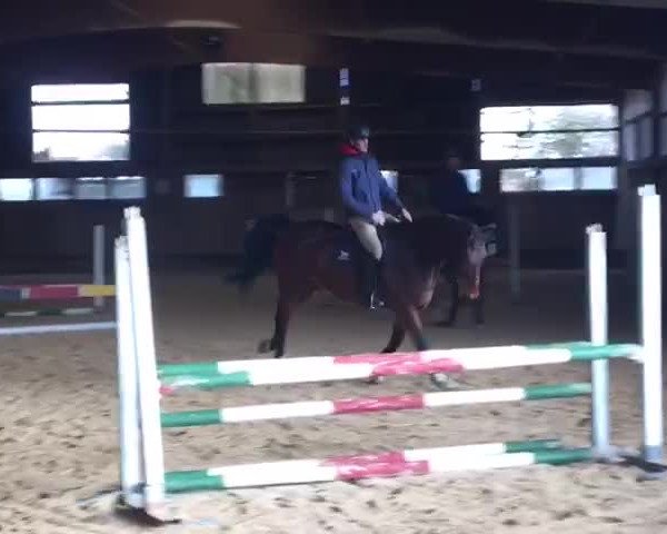 Video of Limit 61