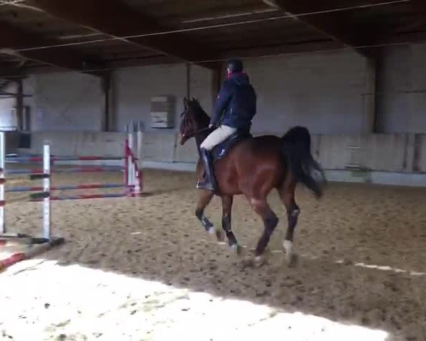 Video of Limit 61