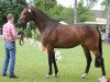 broodmare Diamant's Dollargirl (Westphalian, 2011, from Diamant de Semilly)