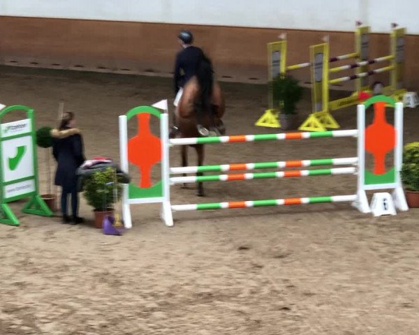 Video of Nediva