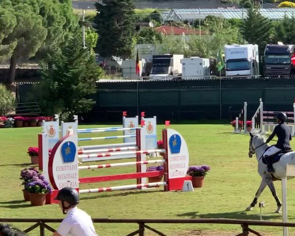 FEI Reitturnier San Remo (ITA) 2019