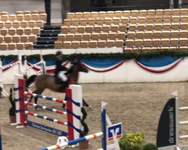 Video of Nediva