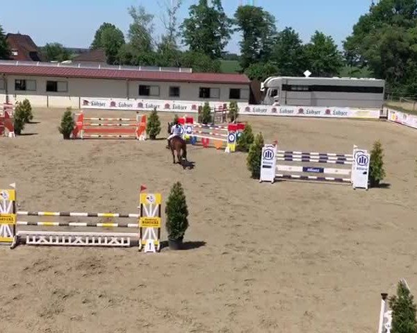 Reitturnier Kitzscher / Reitanlage Heuter 2019