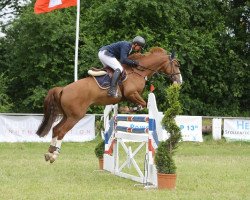 jumper Forbes 5 (Hanoverian, 2007, from For Pleasure)