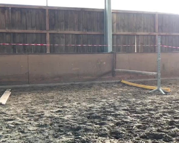 Video of Qwendoline