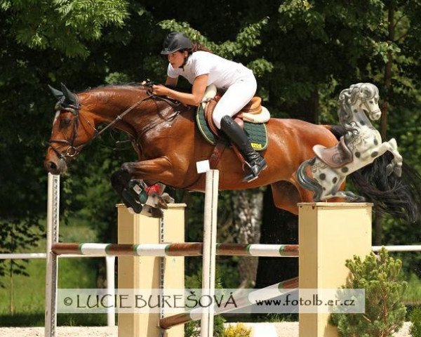 broodmare Aida (KWPN (Royal Dutch Sporthorse), 2005, from Celano)