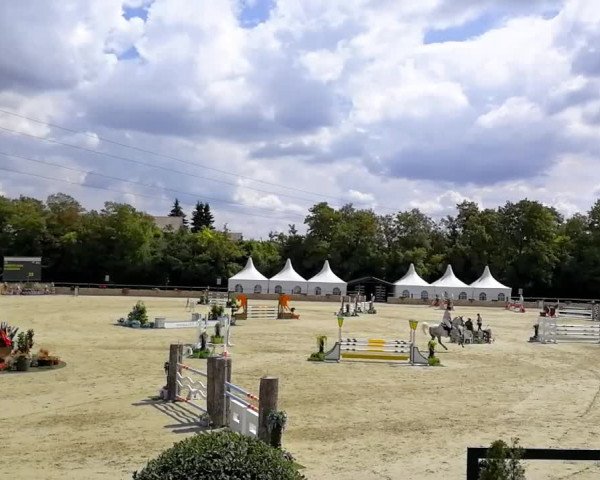 FEI Reitturnier Wiener Neustadt (AUT) 2018