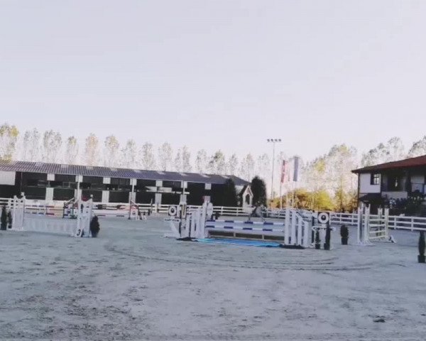 Video von E-Carissima