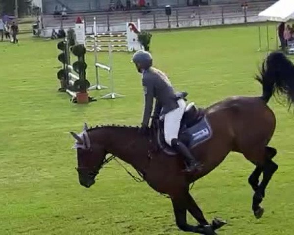Video of Debby T