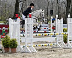 jumper Bedford (German Riding Pony, 1990, from Baron)