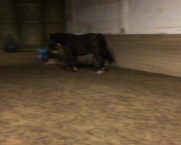 Video of Atos