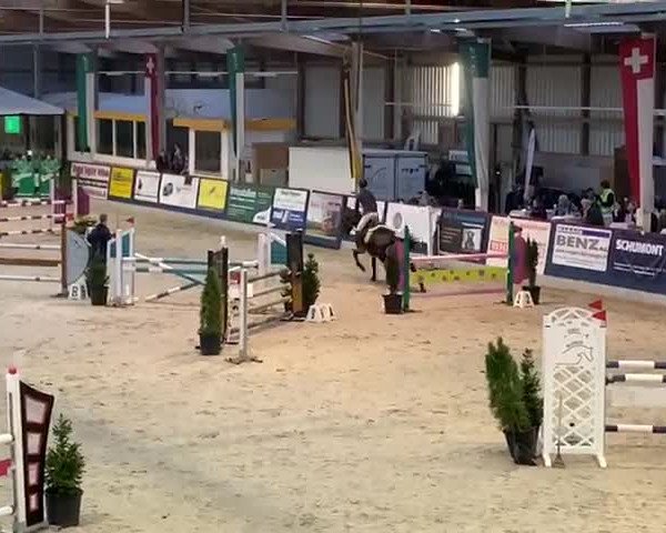 Video of Quintera B CH